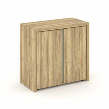 Шкаф низкий широкий (2 низких фасада ЛДСП) COR.ST-3.1