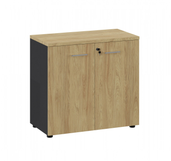 Шкаф низкий 135H001 15/6Z/6Z