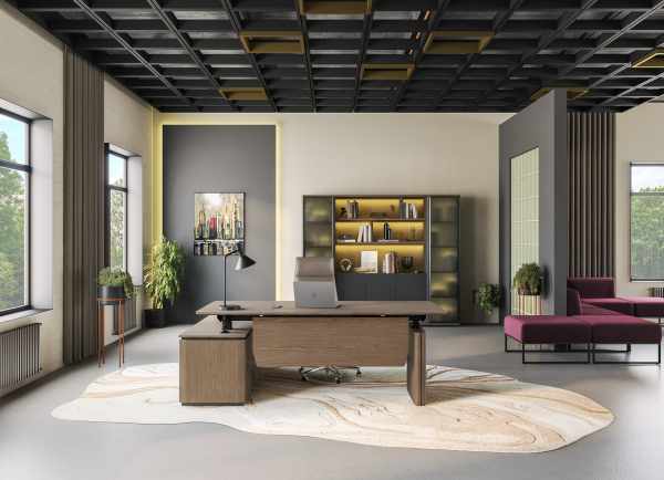 Кабинет руководителя ION. Фото 1