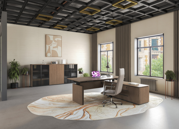 Кабинет руководителя ION. Фото 2