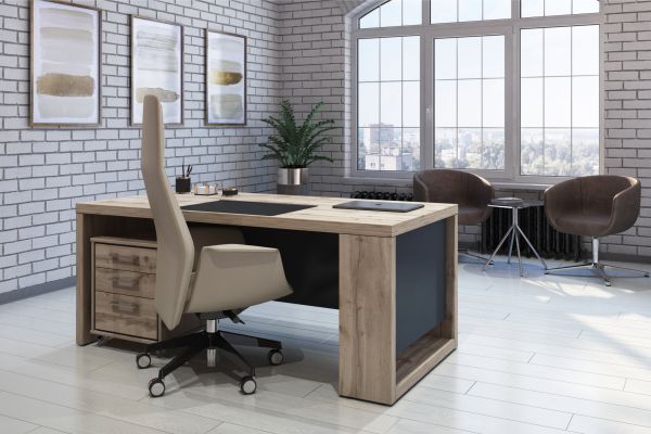 Кабинет руководителя Торстон. Фото 34